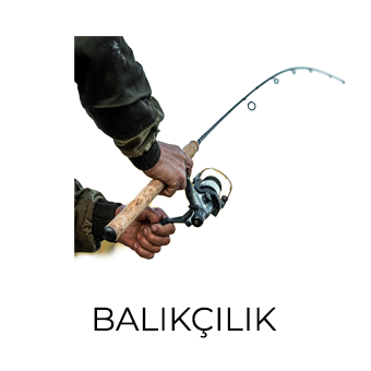 Balıkçılık
