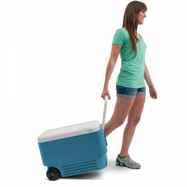 Igloo Wheelie 38 Buzluk - 2