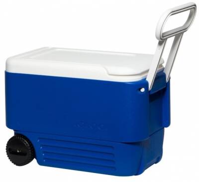Igloo Wheelie 38 Buzluk - 1