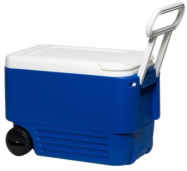 Igloo Wheelie 38 Buzluk - 1