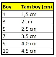 SW126 Bearing Fırdöndü - 2