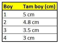 SW134 Serpme Fırdöndüsü - 2