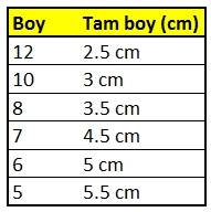 SW140 Fırdöndü - 2