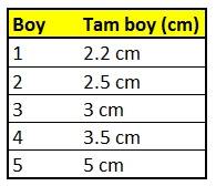 SW163 Triangle Fırdöndü - 2
