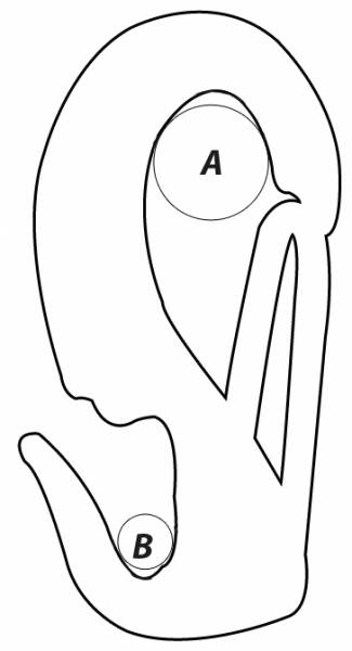 Wichard tek el yelken shackle’ı - 2