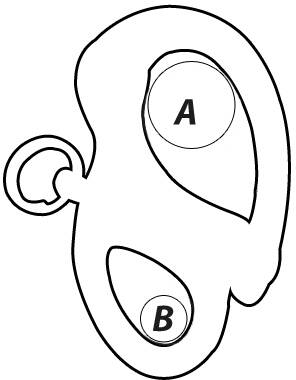Wichard yüksek dirençli sabit gözlü snap shackle - 2